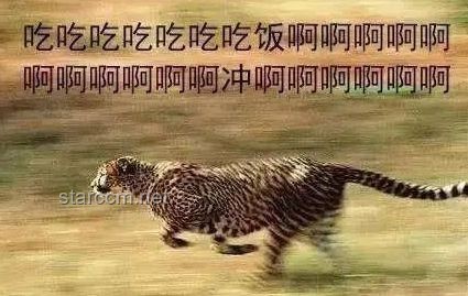 动物园方回应灰鹤被七只老虎抢食事件始末